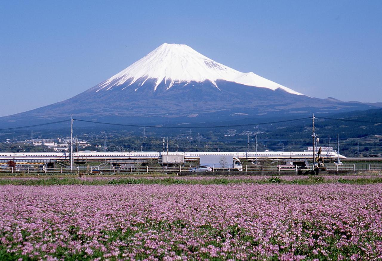 Business Hotel Sunpu Sizuoka Kültér fotó